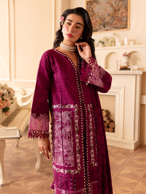 PN-07 | 3 PC Khaddar